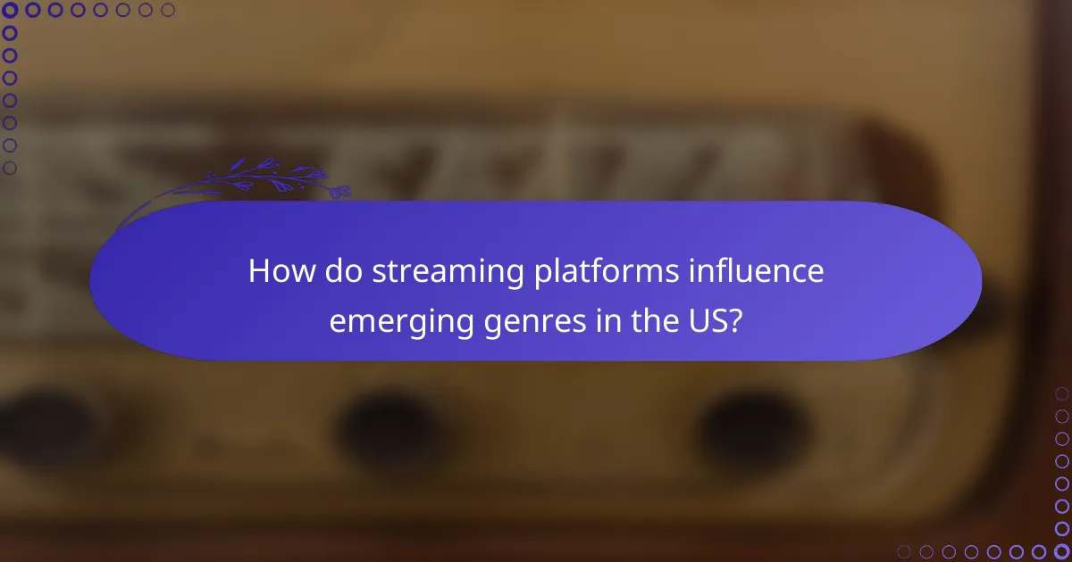How do streaming platforms influence emerging genres in the US?