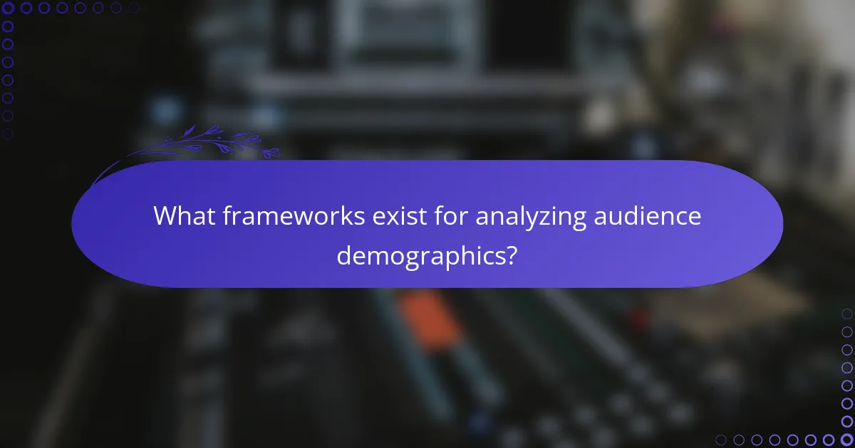 What frameworks exist for analyzing audience demographics?